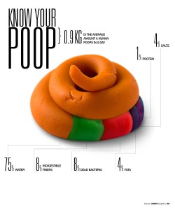 This infographic was created by the_digitalmonkey